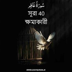 Surah 40 - غَافِر
