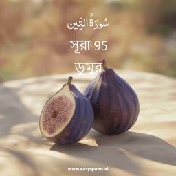Surah 95 - التِّين