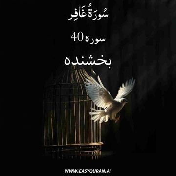 Surah 40 - غَافِر
