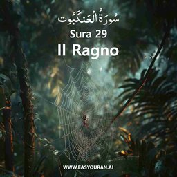 Surah 29 - العَنْكَبُوت