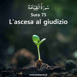Surah 75 - القِيَامَة