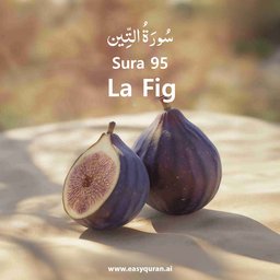 Surah 95 - التِّين