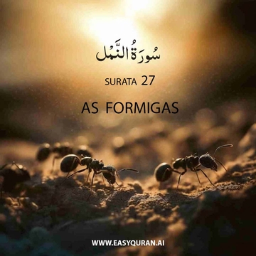 Surah 27 - النَّمْل