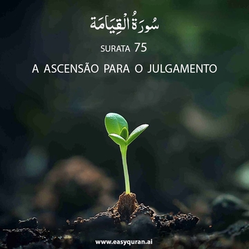 Surah 75 - القِيَامَة