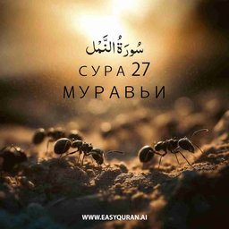 Surah 27 - النَّمْل