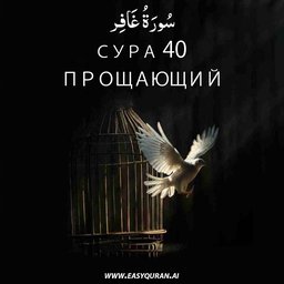 Surah 40 - غَافِر
