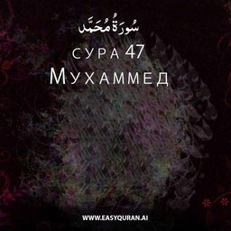 Surah 47 - مُحَمَّد