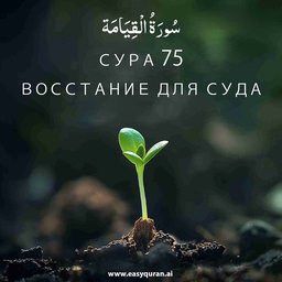 Surah 75 - القِيَامَة