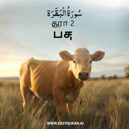Surah 2 - البَقَرَة