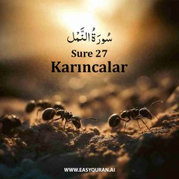 Surah 27 - النَّمْل